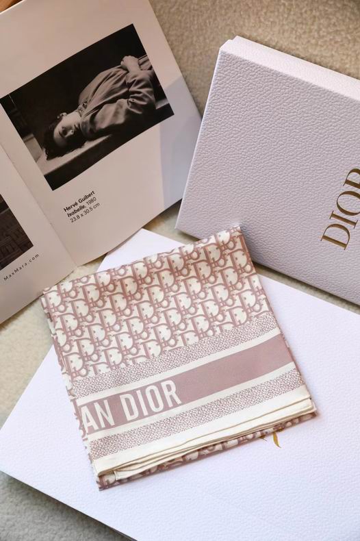 Dior Scarf ID:20221019-70